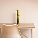 Lux Santiago Appartement *